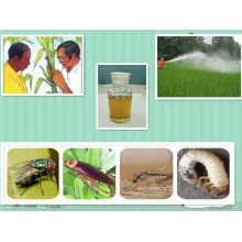 Insecticida Methomyl 90% Sp, CAS: 116752-77-5 Metomil Agrinate